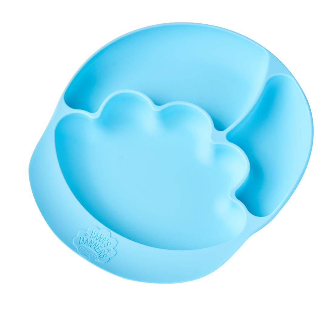 Suction & Sections Plate For Toddlers & Preschoolers