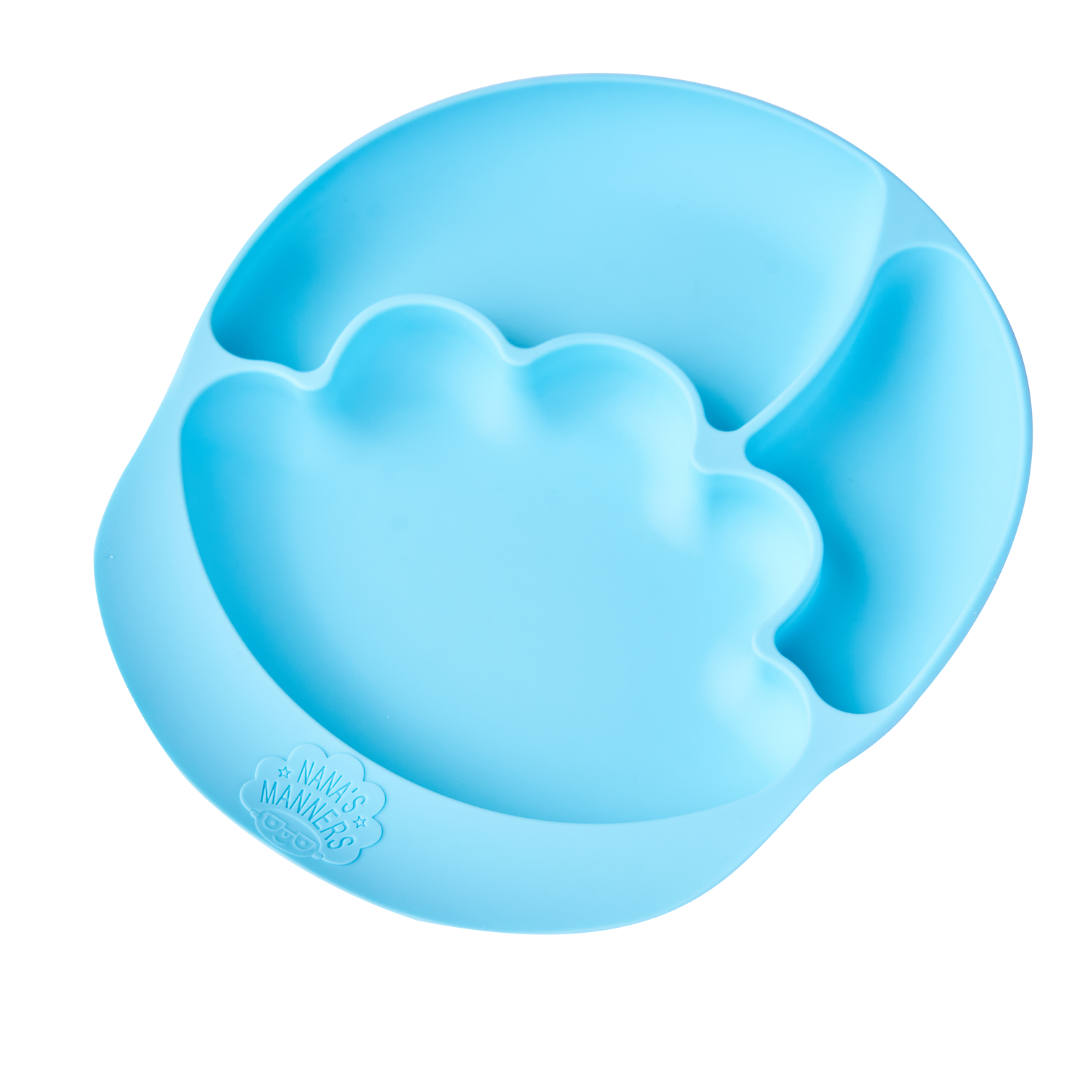 Suction & Sections Plate For Toddlers & Preschoolers 