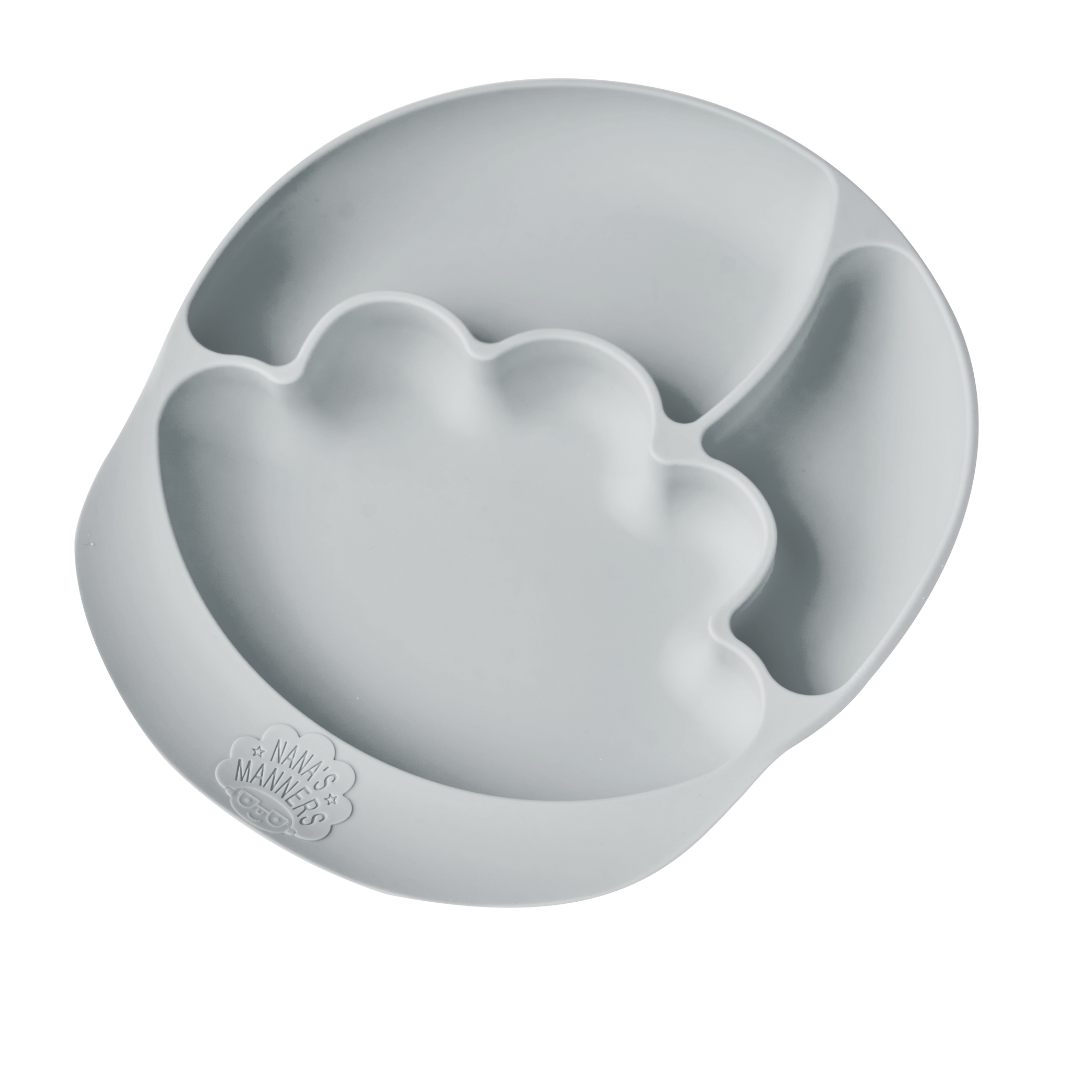 Suction & Sections Plate For Toddlers & Preschoolers 