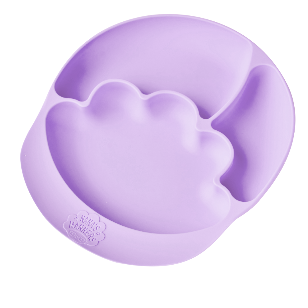 Suction & Sections Plate For Toddlers & Preschoolers
